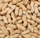 groundnuts for sell