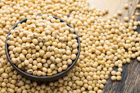 SOYA FOR SALE
